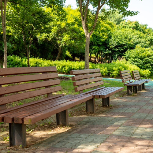 Avenue Trees & Benches