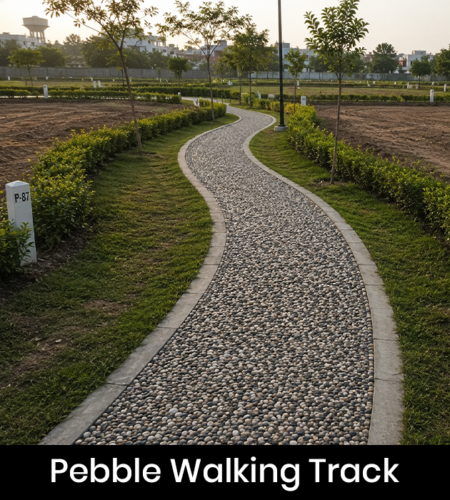 Pebble walking track