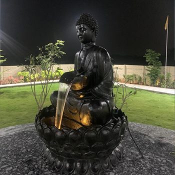 Aloka development images1