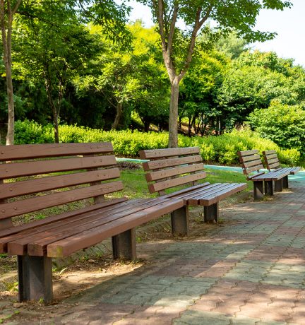Avenue Trees & Benches